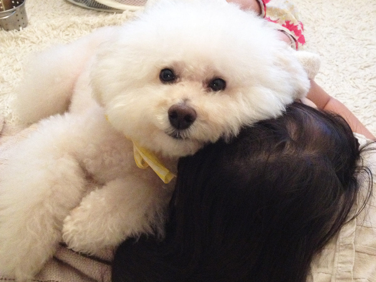 愛犬と一緒に寝る